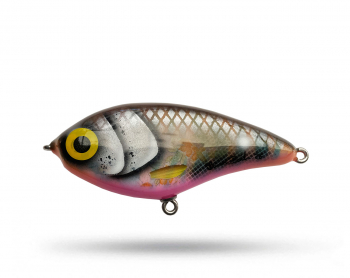 Jiman Baits Franky Flash - Lek Spiggen Jiman Baits Franky Flash - Lek Spiggen